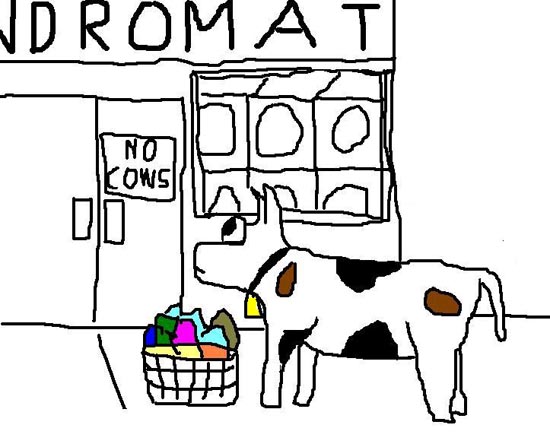 cowlaundry.jpg
